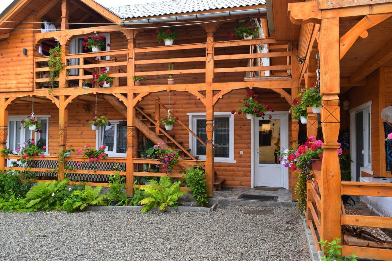 ホテル Casa Vladicu Breb エクステリア 写真