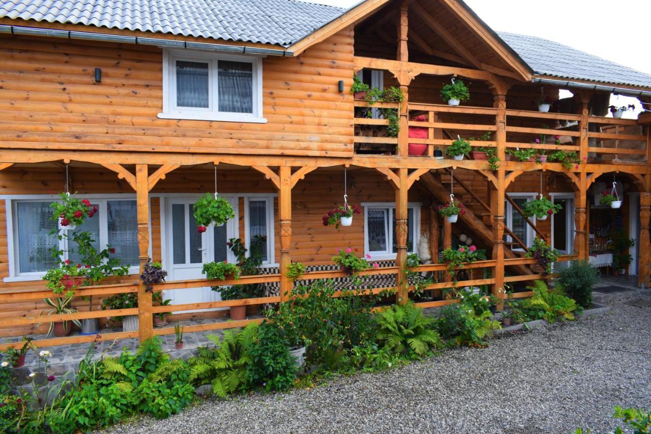 ホテル Casa Vladicu Breb エクステリア 写真