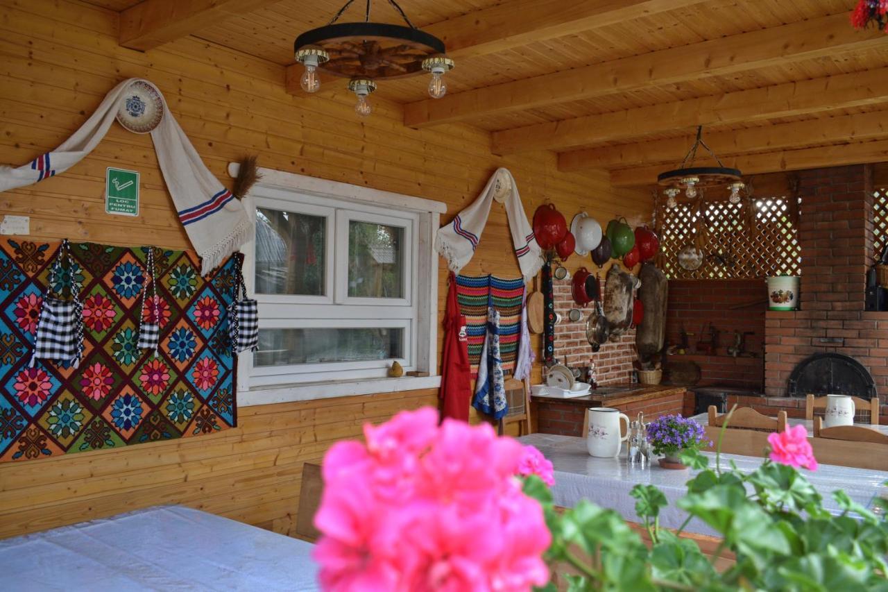 ホテル Casa Vladicu Breb エクステリア 写真