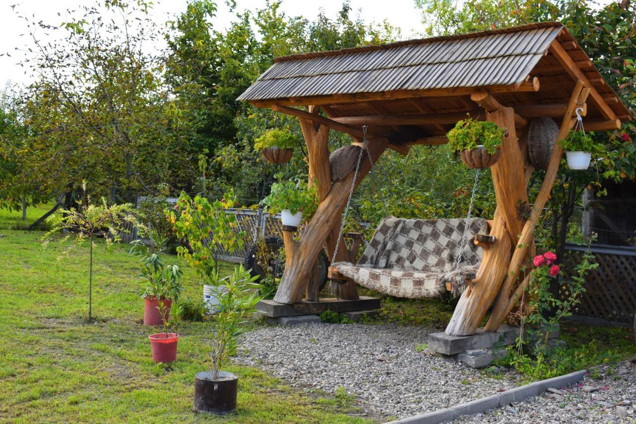 ホテル Casa Vladicu Breb エクステリア 写真