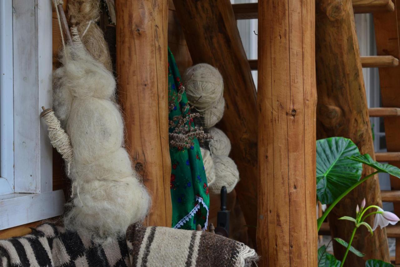 ホテル Casa Vladicu Breb エクステリア 写真