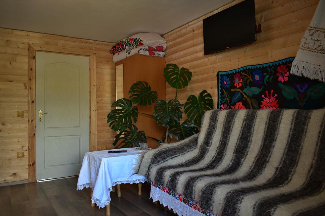 ホテル Casa Vladicu Breb エクステリア 写真