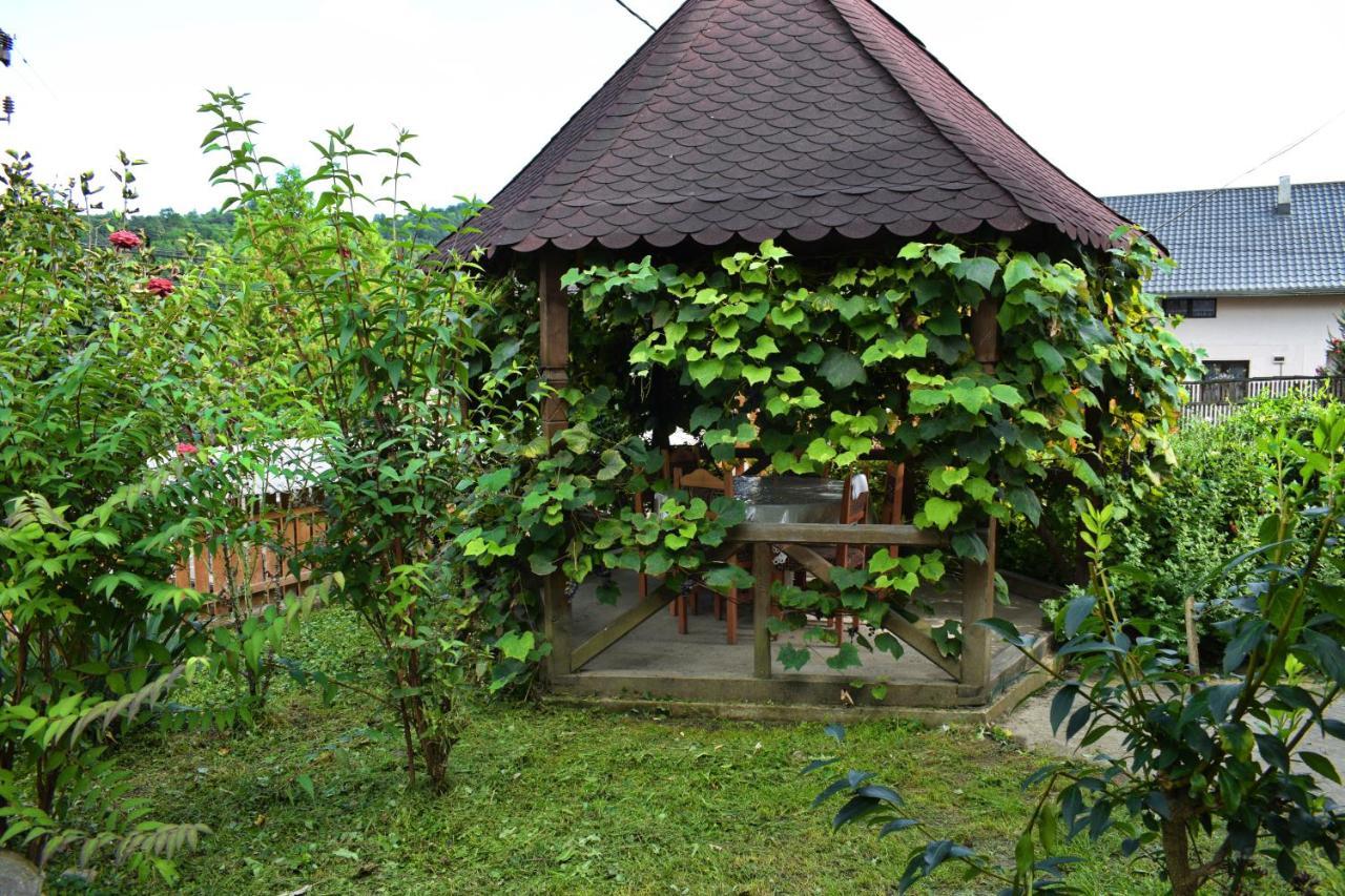 ホテル Casa Vladicu Breb エクステリア 写真
