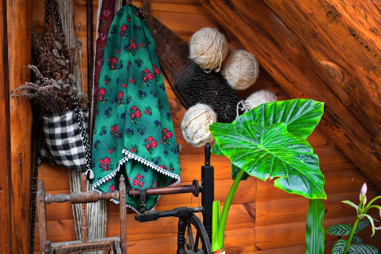 ホテル Casa Vladicu Breb エクステリア 写真